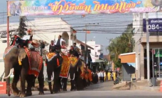 สืบสานประเพณี ถวายช้างคืนถิ่น รับเทศกาลท่องเที่ยวชัยภูมิ