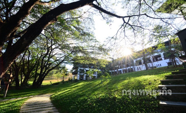 รักเธอ...RAIN TREE