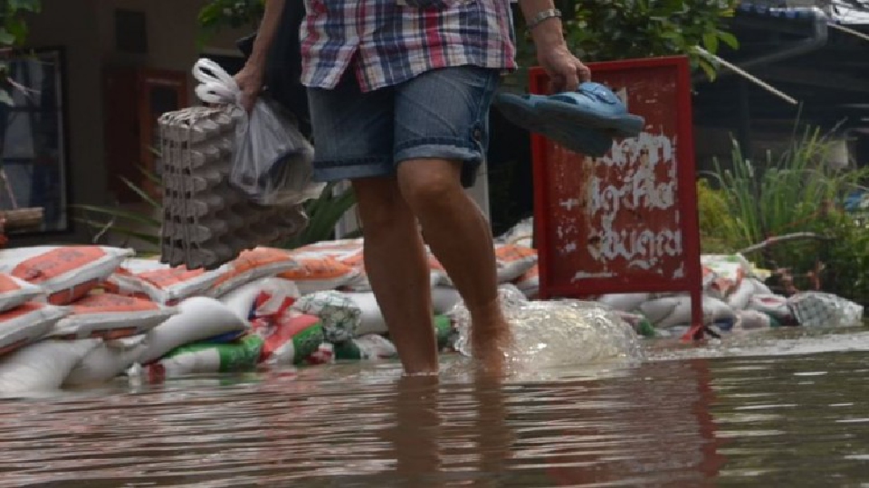 'โรคฉี่หนู'ระบาดภาคใต้ ตายแล้ว 3 ราย