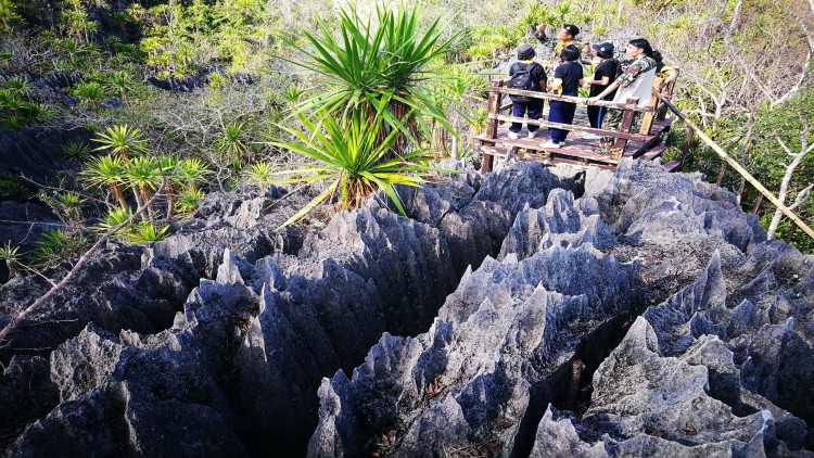 เขาปะการัง...ทะเลโผล่ที่เมืองแพร่ 