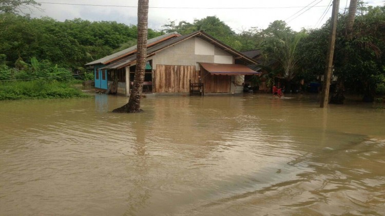 ตรังเร่งช่วยเหลือเยียวยาเกษตรกร ผู้ประสบภัยน้ำท่วม132ล้าน