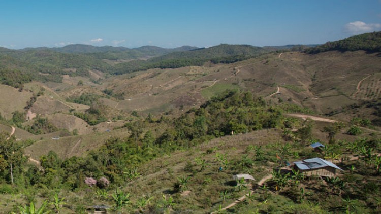 เหรียญอีกด้านของ 'ป่าน่าน' ที่หายไป
