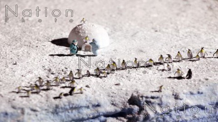 เมืองจิ๋ว ความสุขของคนทุกวัยในบ้าน