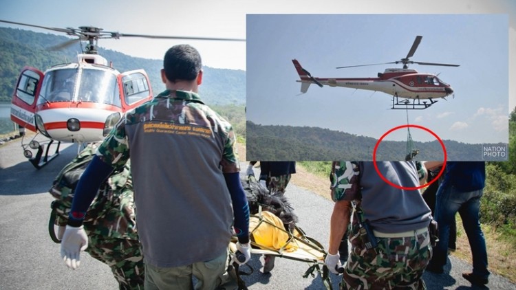 ดราม่า! หมีควายตก 'ฮ.' ตาย เปิดความจริงจาก 'จนท.-ช่างภาพ'