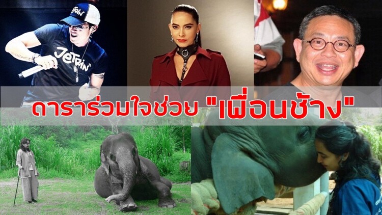 “มาช่า-เจ-ซูโม่กิ๊ก” นำพี่น้องชาวไทยช่วยเหลือ “ช้าง”