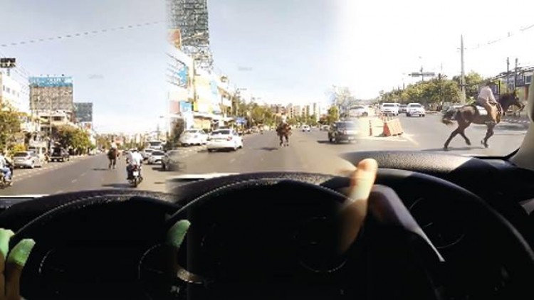 วิจารณ์ยับ! หนุ่มควบม้ากลางถนน หวั่นอุบัติเหตุ