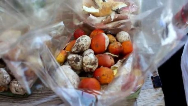 พายุฤดูร้อนทำให้เห็ดระโงกป่างอก ชาวบ้านเก็บขายรายได้ดี