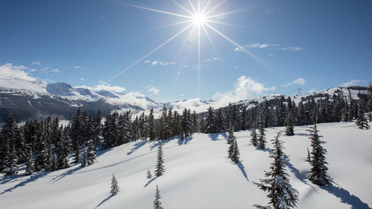 หิมะแคนาดาถล่ม 5 โสมขาวดับ