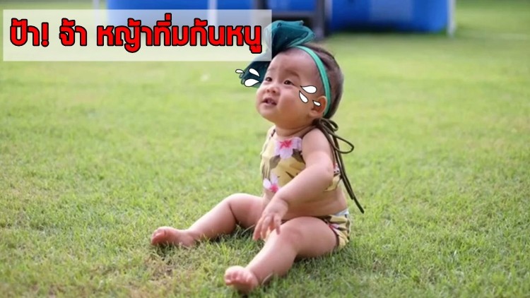 เมื่อหญ้าทิ่มก้น เจ๊“เป่าเปาบางพลี”  