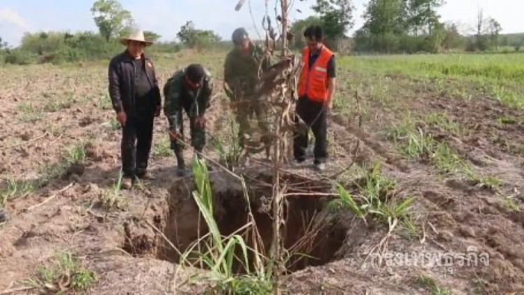 พบหลุมยุบ 16 หลุมกระจายในไร่อ้อย