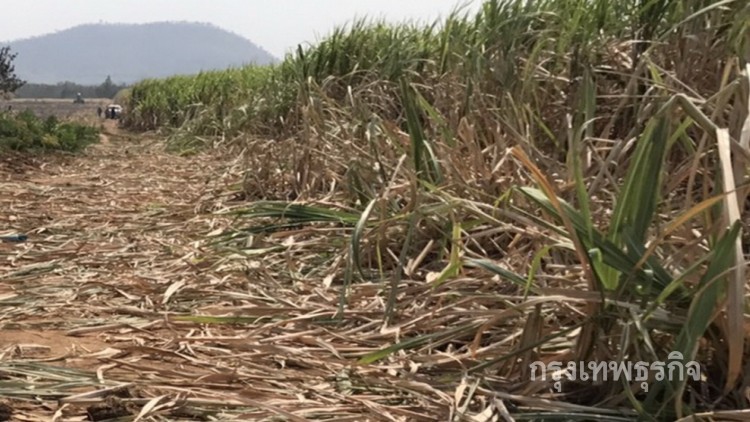 สั่งเฝ้าระวัง 4 อำเภอพื้นที่เสี่ยงหลุมยุบ