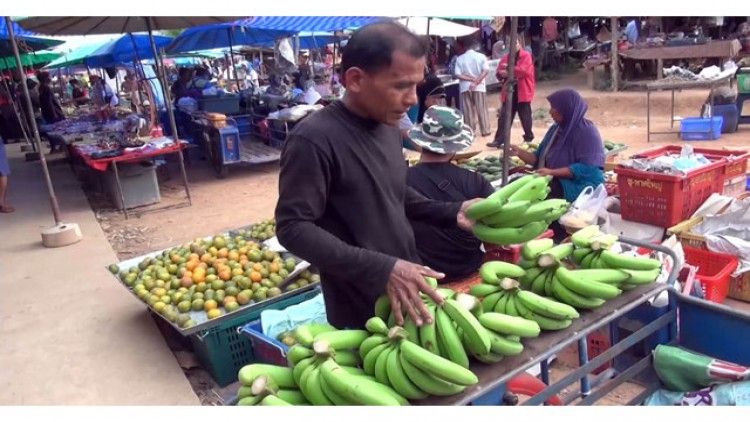 โค่นยาง 6 ไร่ ทำ 'สวนพอเพียง' เดินตามรอยพ่อ ร.9