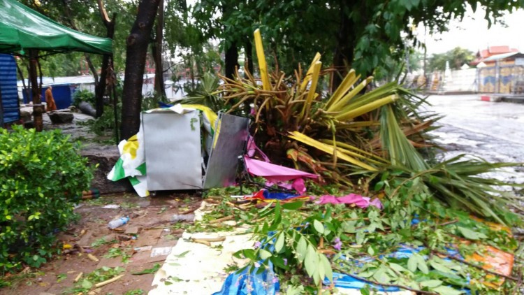 พายุโหดพัดถล่มพระธาตุพนม ต้นตาลล้มทับแม่ลูกดับ 
