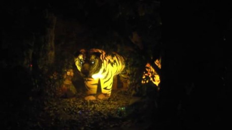 สวนสัตว์โคราชทำเก๋ 'สวนสัตว์เรืองแสง' แห่งแรกในประเทศไทย