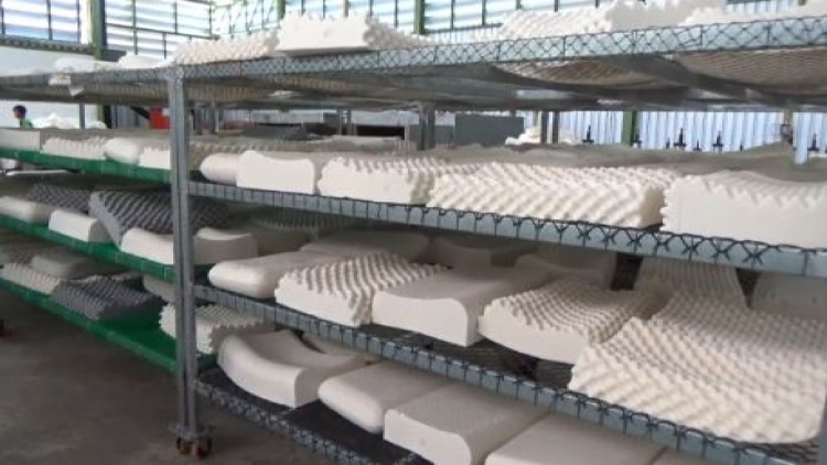 ตรังผลิตหมอนยางพารา ช่วยพยุงราคาน้ำยางสด