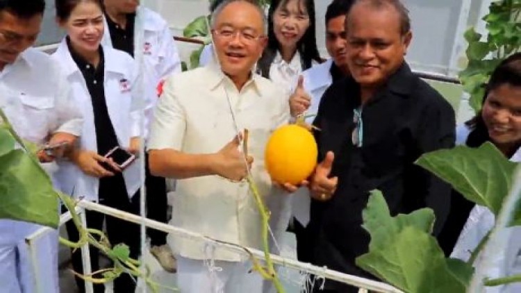 เปิดสมาร์ทฟาร์มประชารัฐ ชูเมล่อนในโรงเรือนแบบปิด รายได้ดี