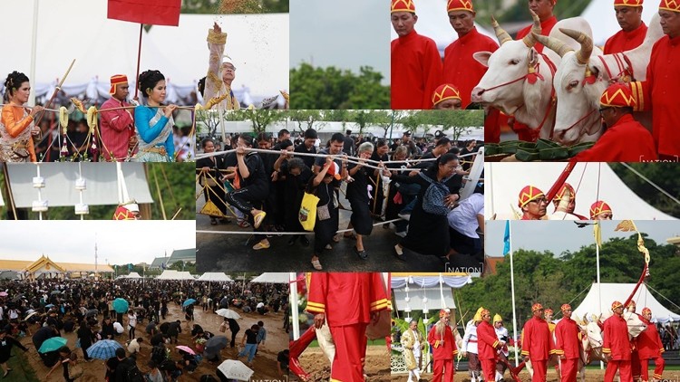 ภาพชุด พืชมงคลจรดพระนังคัลแรกนาขวัญ 2560
