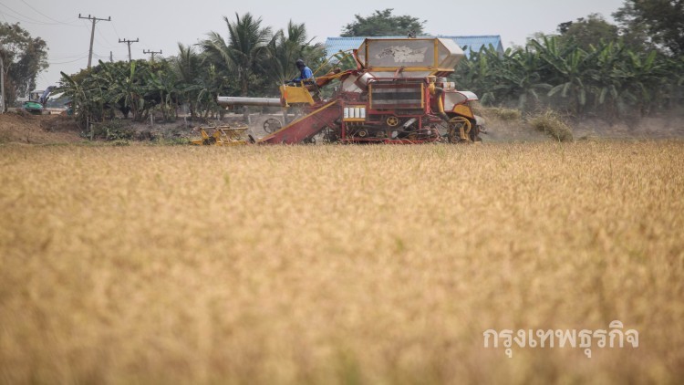 'ชูเกียรติ'มั่นใจปีนี้ไทยจะส่งข้าวออกเกิน 10 ล้านตัน