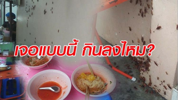 ใครแคร์? สาวกินก๋วยเตี๋ยวท่ามกลางกองทัพแมลงสาบ