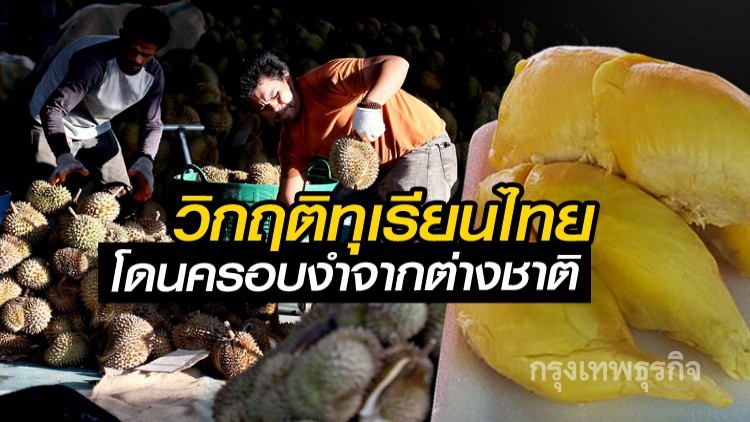 วิกฤติทุเรียนไทย โดนครอบงำจากต่างชาติ