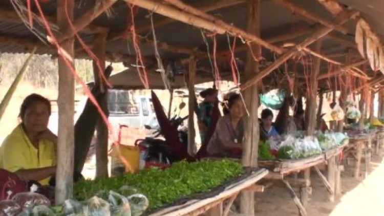 ชาวบ้านยิ้มรับเข้าฤดูฝนเก็บของป่าขาย สร้างรายได้งาม