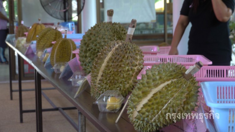 ยันทุเรียนส่งออกแดนปลาดิบไม่ใช่ทุเรียนอ่อน