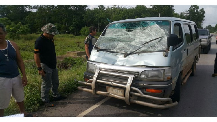 รถตู้รับส่งนักเรียนชนช้างป่า ที่ถนนสายกองดิน ระยอง