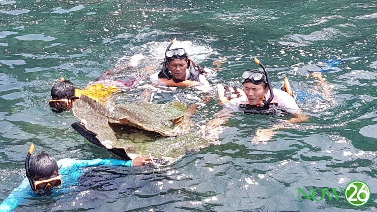 คนร้ายขโมย“ปะการังจาน”อายุนับพันปีในถ้ำหน้าอ่าวกรวด