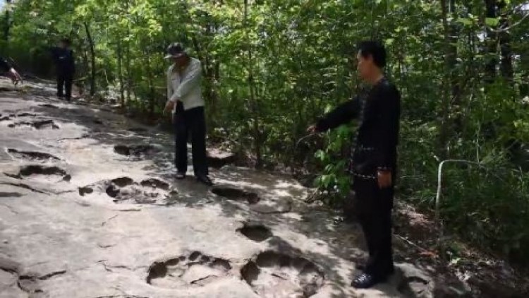 แตกตื่น! รอยเท้าปริศนา คาดเป็นเท้าช้างยุคดึกดำบรรพ์