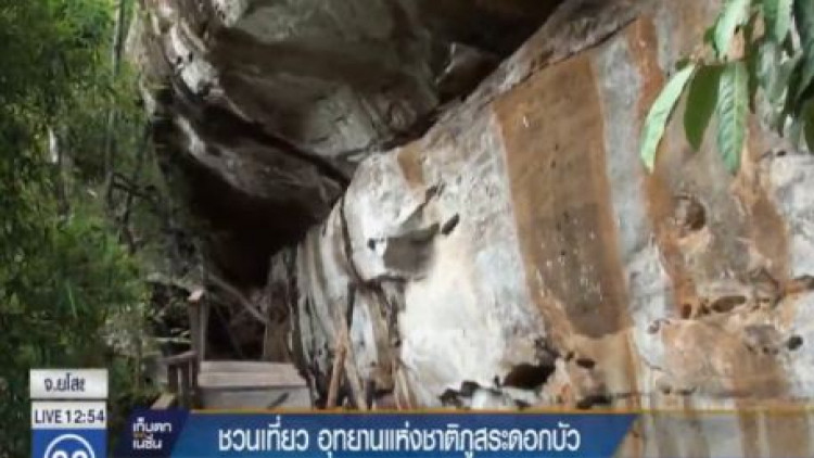 ชวนเที่ยวชมความงาม อุทยานแห่งชาติภูสระดอกบัว