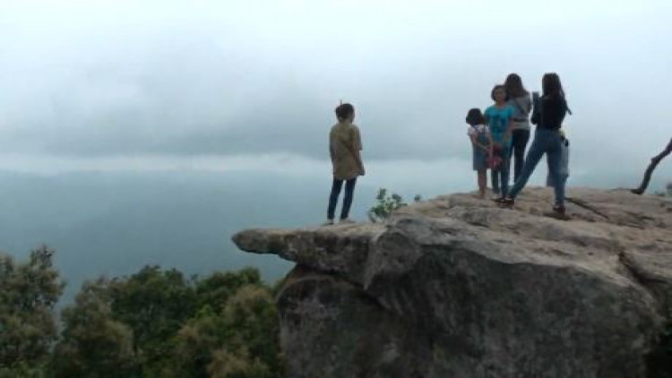 ชัยภูมิชวนเที่ยวเทศกาลชิมทุเรียน เที่ยวทุ่งดอกกระเจียวบาน