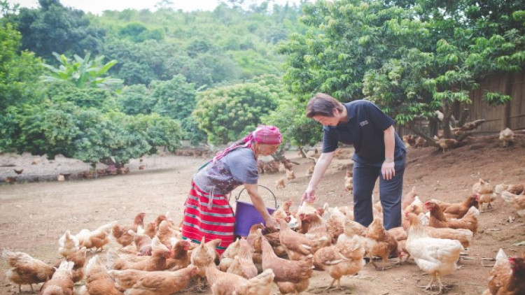 ไข่ไก่อารมณ์ดี จากดอยวาวี ถึงมือคนรอ