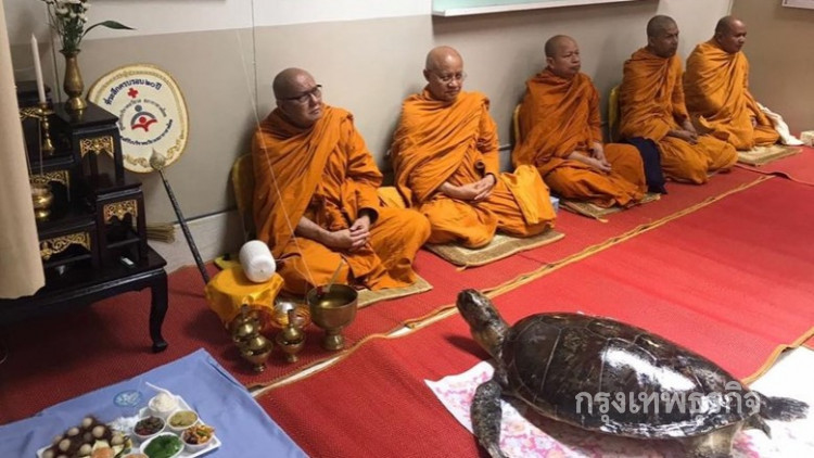 ทีมสัตวแพทย์นำร่าง 'สตาฟเต่าออมสิน' ทำบุญอุทิศส่วนกุศล