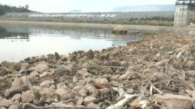 เขื่อน5แห่งโคราชยังน่าห่วง ลำตะคองเหลือน้ำ24%