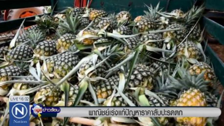 พาณิชย์เร่งแก้ปัญหาราคาสับปะรดตกต่ำ