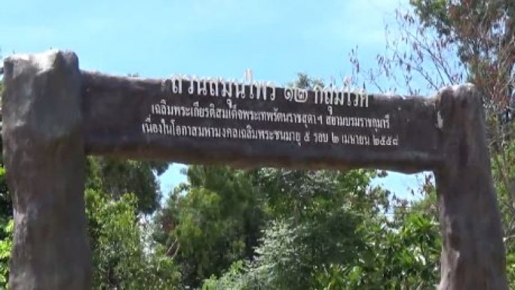 ศูนย์สมุนไพรวิทยาการสาธารณสุขสิรินธร ภูมิปัญญาแพทย์แผนไทย