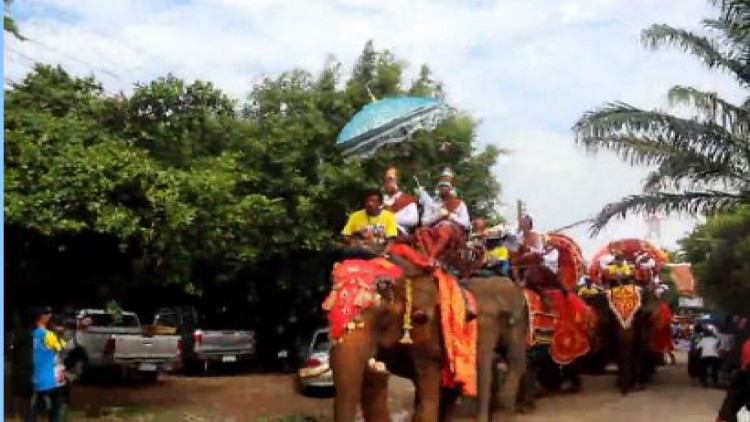 ยิ่งใหญ่! งานบวชย้อนยุค แห่นาคขี่ช้างรอบเมืองสุรินทร์