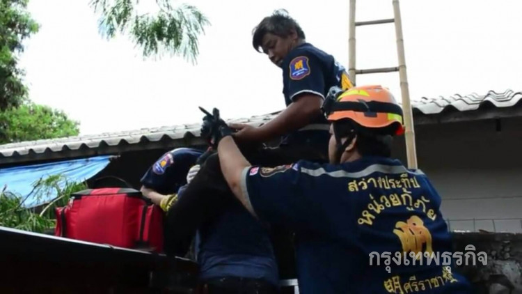 หนุ่มใหญ่ตกต้นไม้ถูกตะปูกำแพงเสียบแขนเจ็บ!!