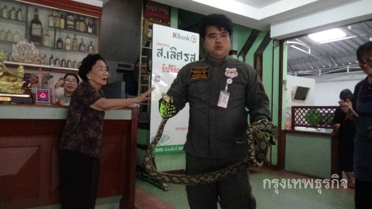 งูเหลือมขึ้นภัตตาคารชื่อดัง เจ้าของเชื่อนำลาภใหญ่มาให้