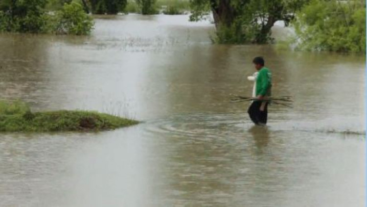 สกลนครน้ำเอ่อเซาะทำนบกั้นลำน้ำก่ำ ท่วมนาข้าว 1,000 ไร่