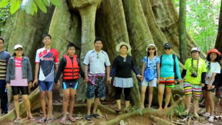 ต้นไม้ใหญ่กว่า30คนโอบ-อายุ500ปี คาดใหญ่ที่สุดในประเทศไทย