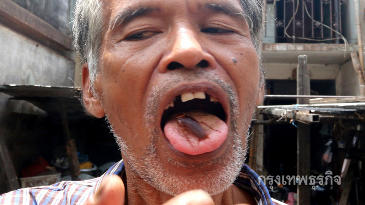 ลุงเก็บของเก่า โชว์อมแมลงสาบ บอกเป็นเพื่อนกัน