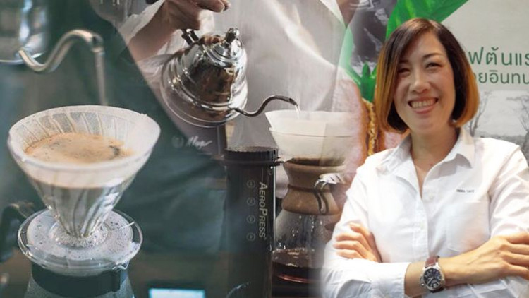 กาแฟสัญชาติไทยไต่ระดับมาตรฐานสากล 