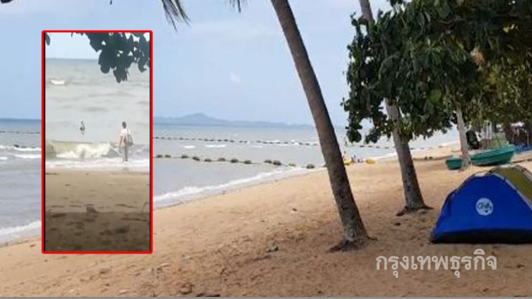 แชร์สนั่น2สาวต่างชาติ อุ้มลูกสุนัขลงทะเลกดน้ำจนสิ้นใจ