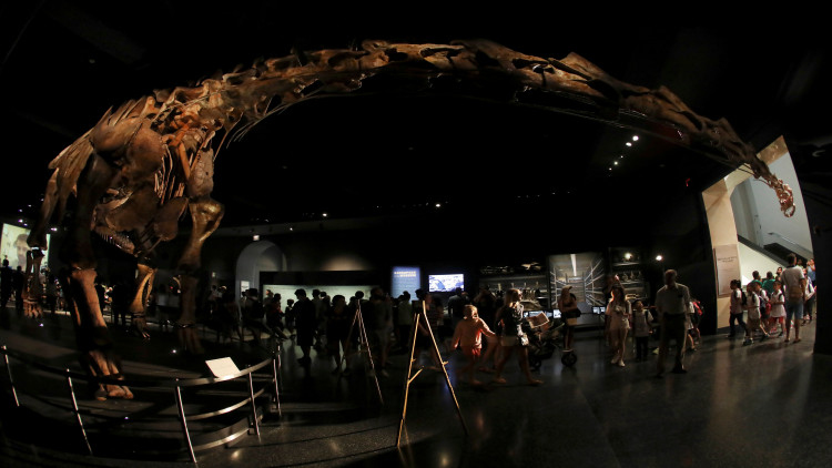 นักวิจัยยันพบ 'ฟอสซิลไดโนเสาร์' ใหญ่สุดในโลก