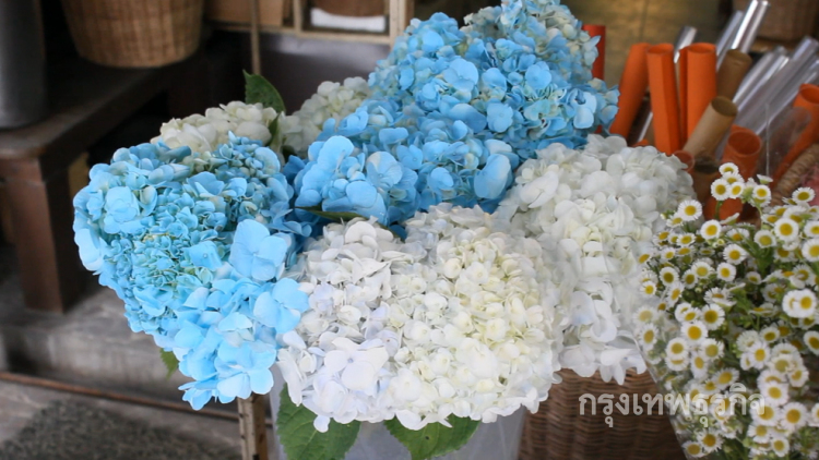 ตลาดดอกไม้สีฟ้าคึกคักต้อนรับวันแม่