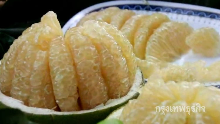 ส้มโอ'ขาวน้ำผึ้ง'ของดีสูงเนิน ดันเป็นแหล่งท่องเที่ยววิถีไทย