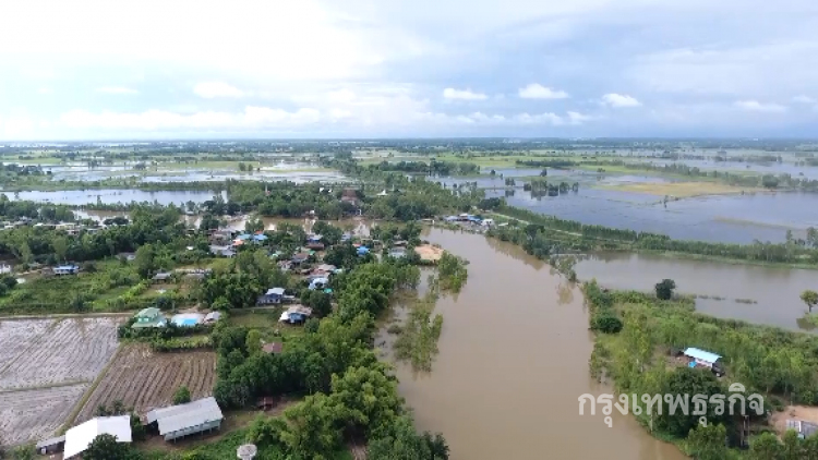 เกษตรกรผู้เลี้ยงปลาพิจิตร เร่งจับปลาหนีน้ำท่วม