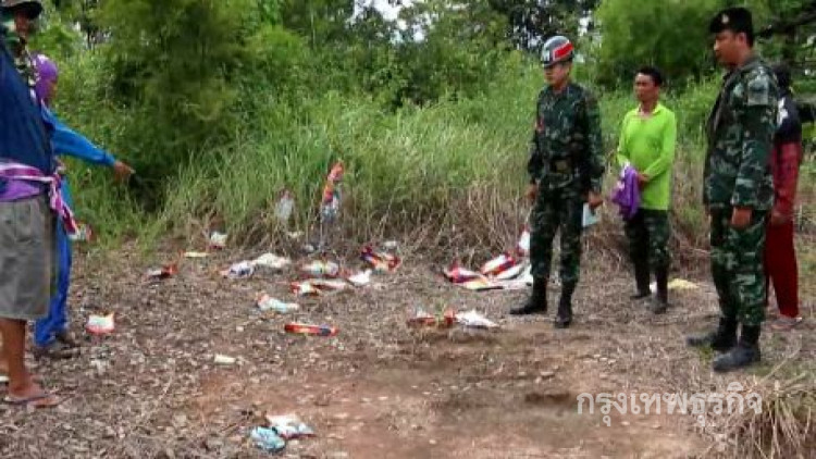 โวย!นาข้าวถูกยาฆ่าหญ้าจากไร่อ้อยนายทุน ข้าวตายกว่า20ไร่