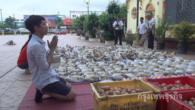 ทนายหนุ่ม แก้บน 'หลวงพ่อเพ็ชร' อลังการ